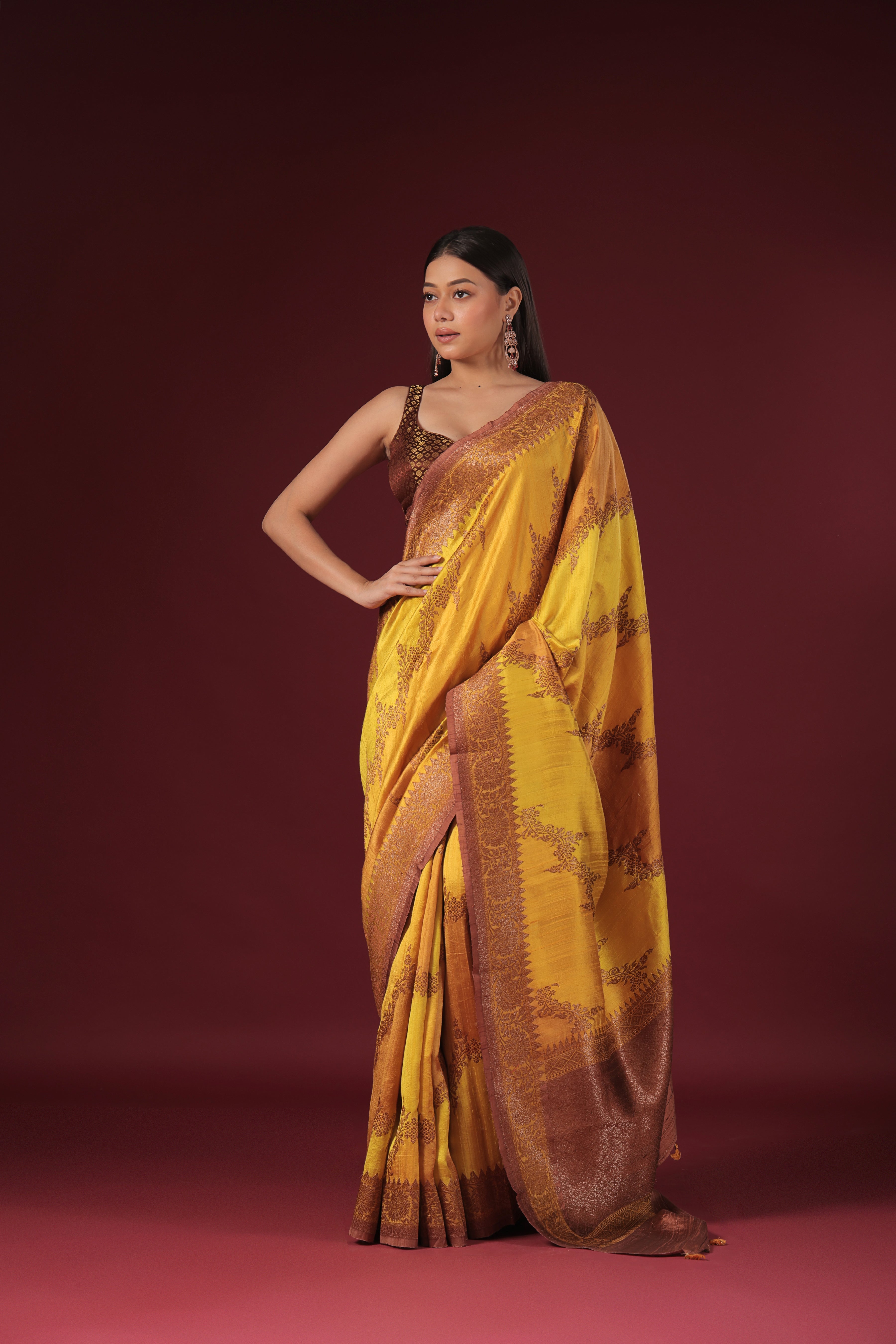 Rangkat Raw Silk Banarasi